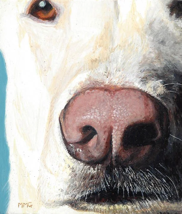 pink nose - 3" x 3.5"