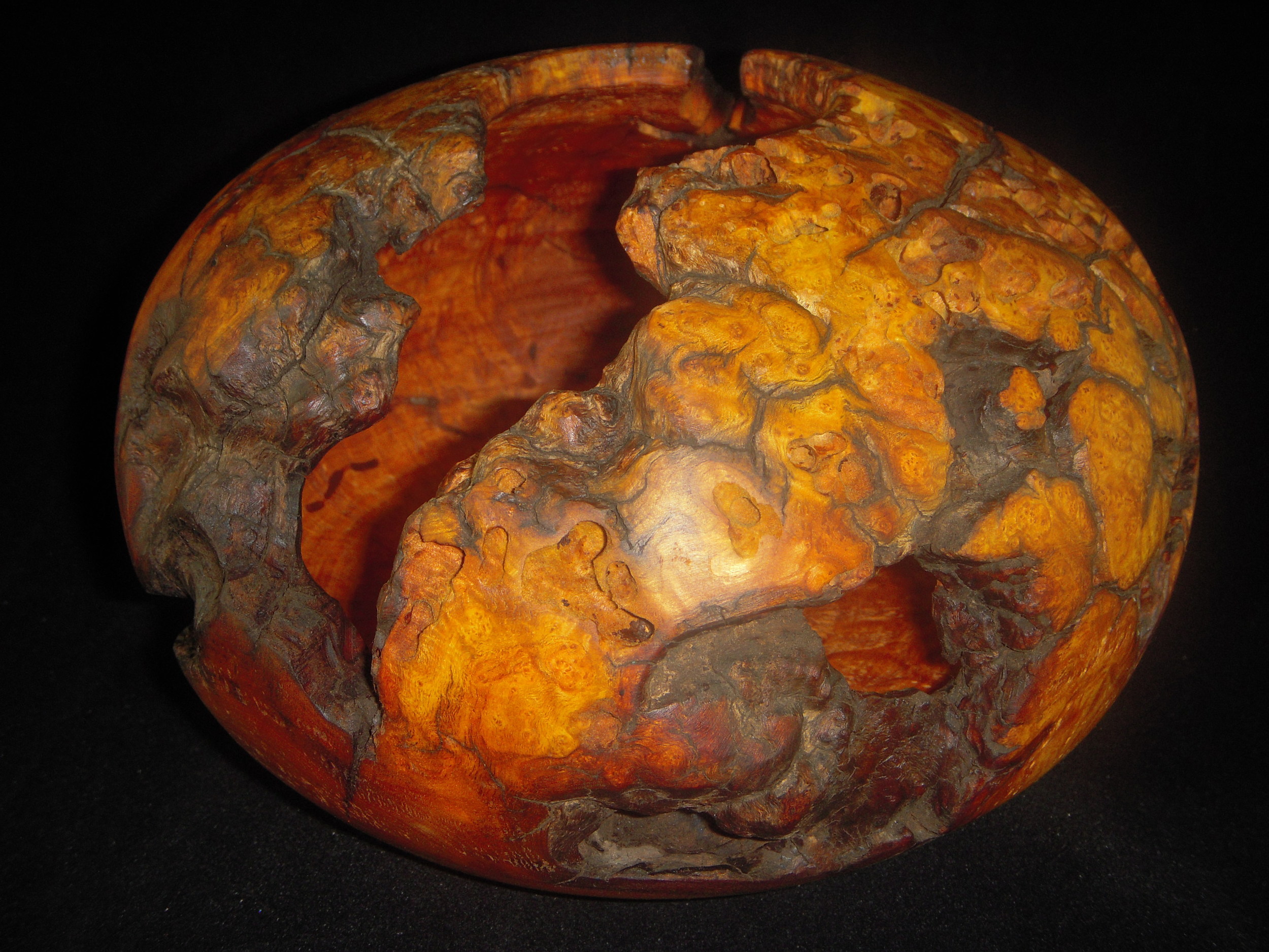 Dogwood Burl
