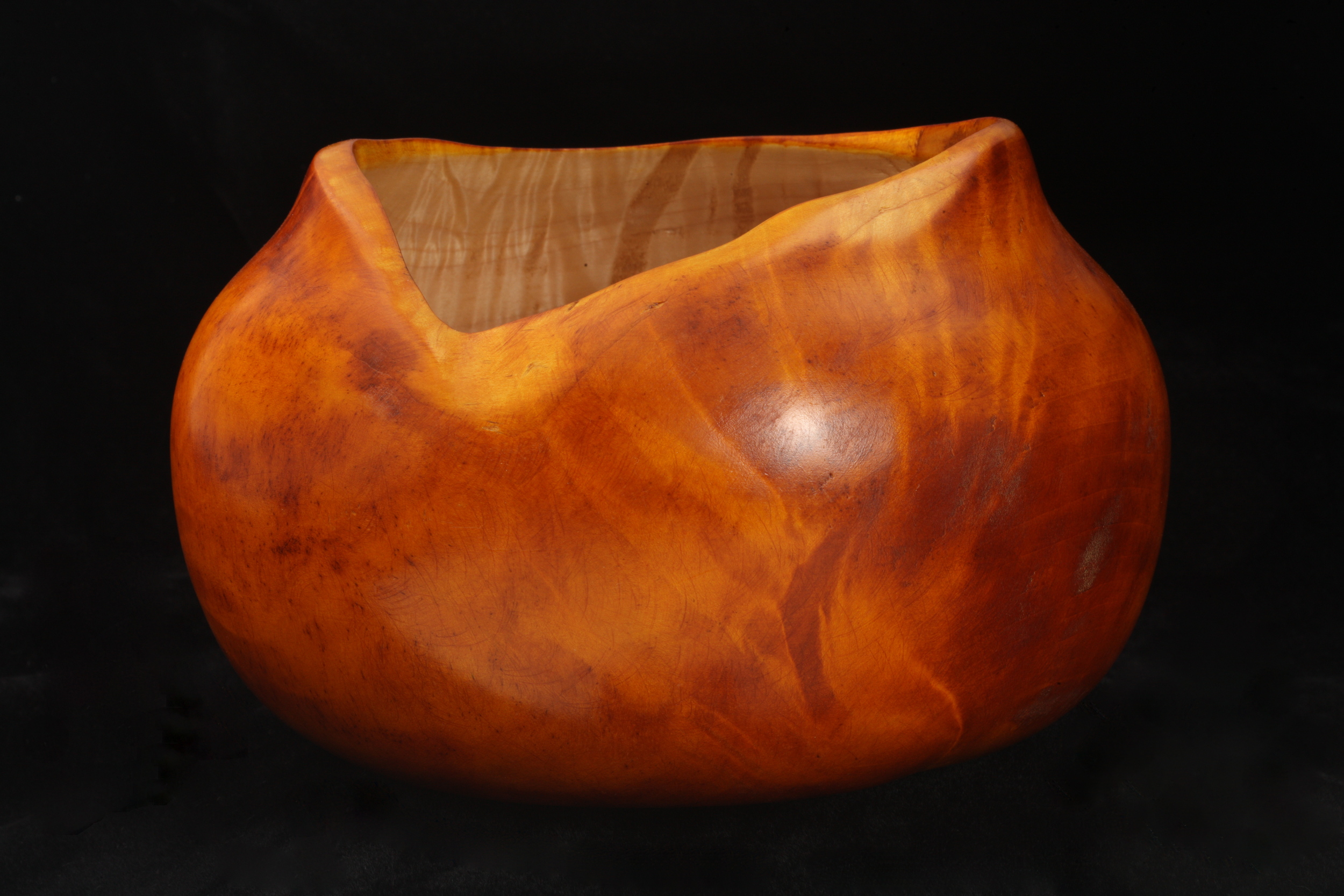 Dyed Maple Burl 