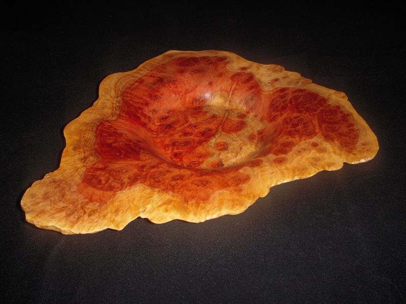 Red Mallee Burl