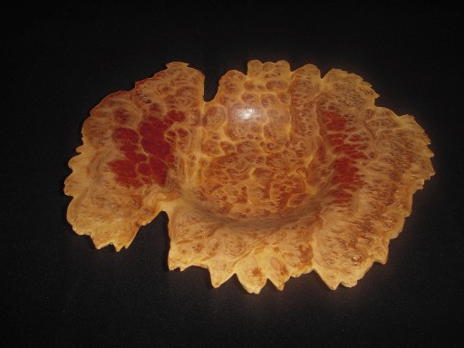 Red Mallee Burl