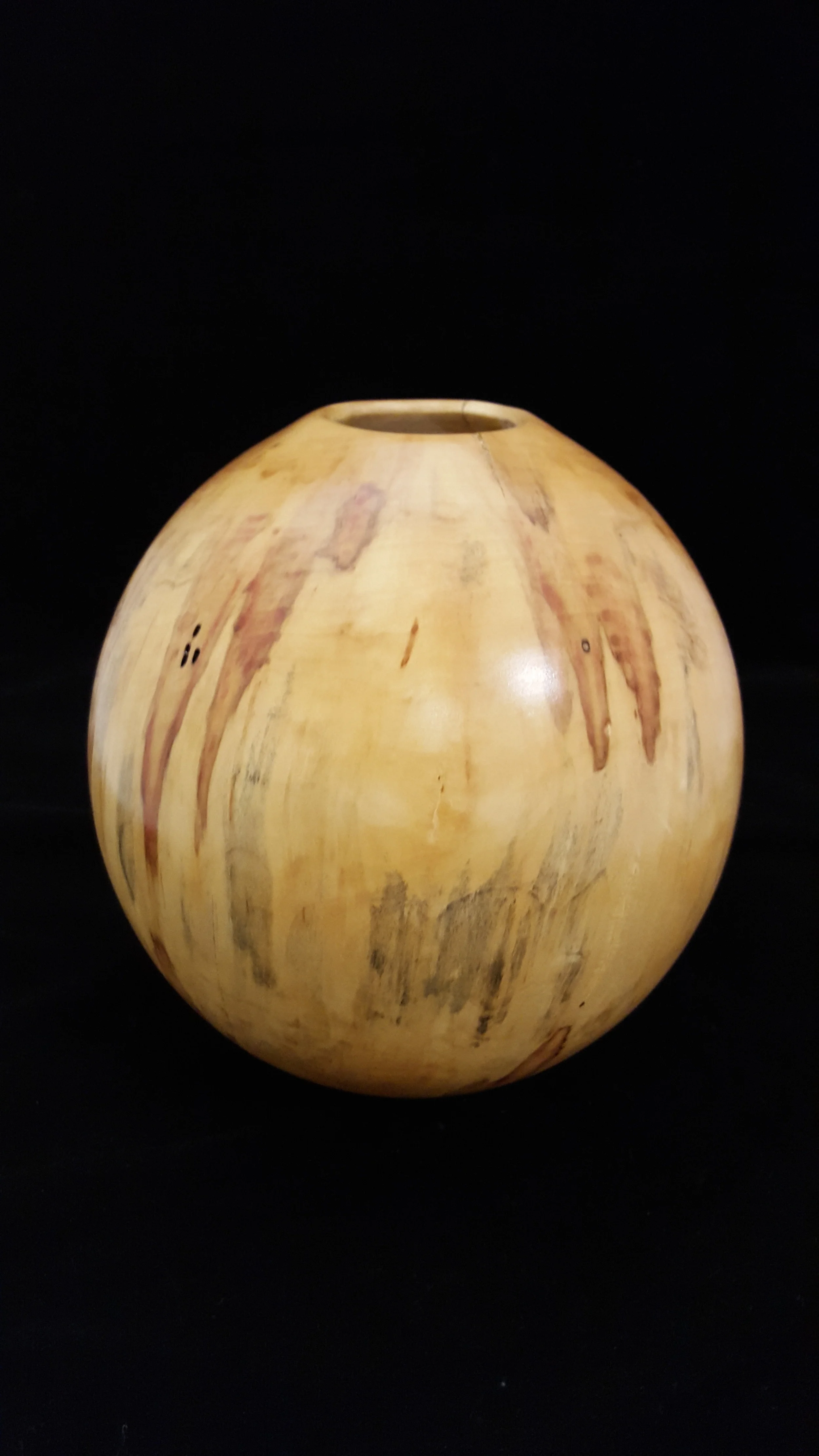 Box Elder
