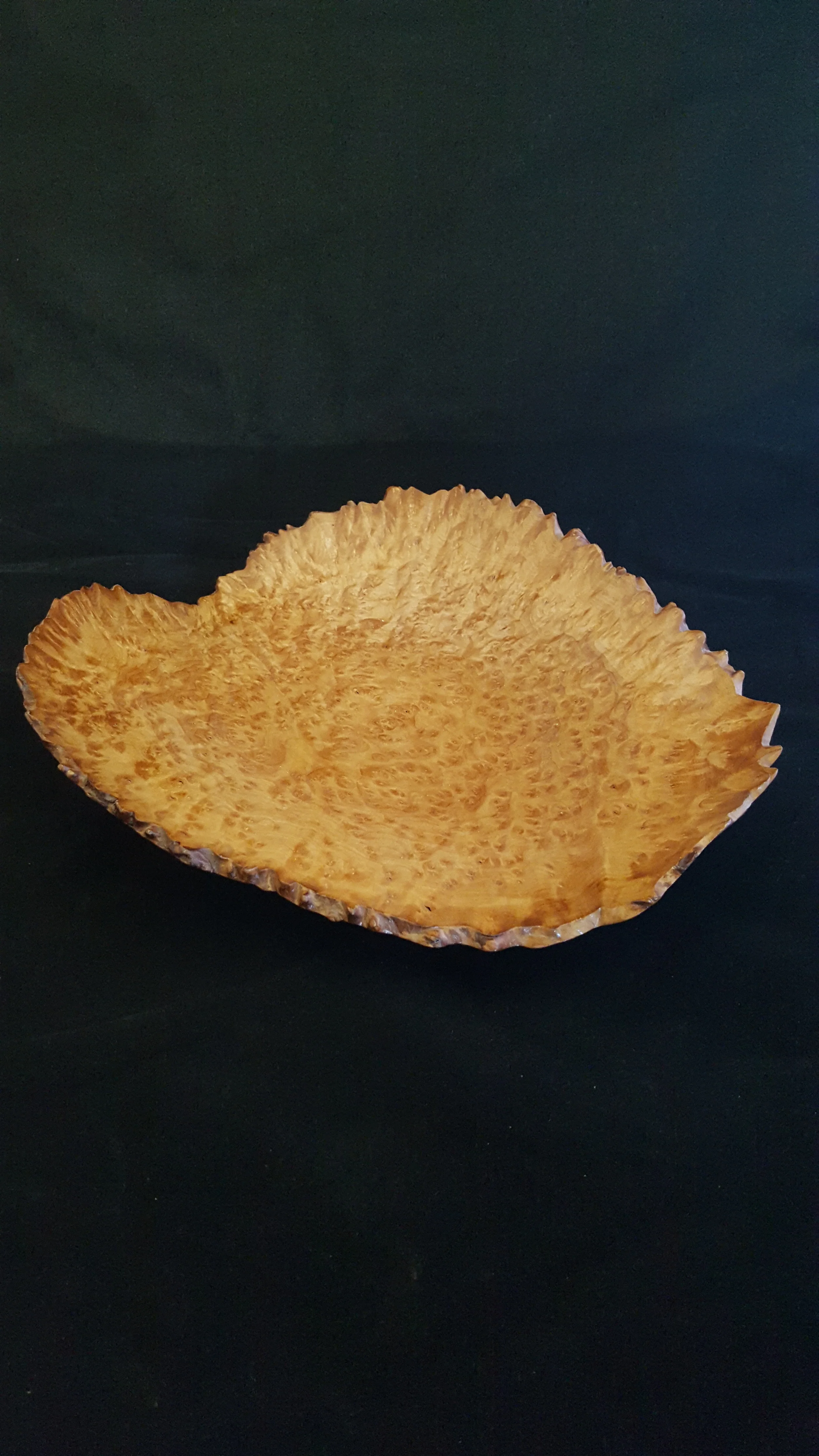 Madrone Burl