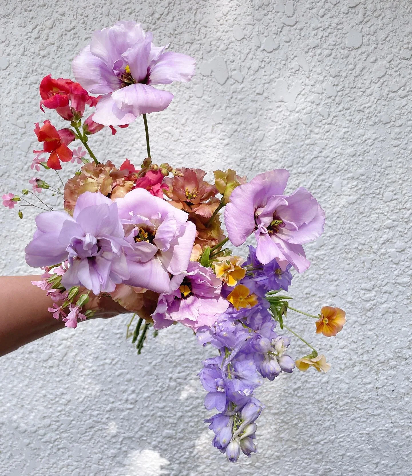 Local beauties from @lilystonegardens ✨