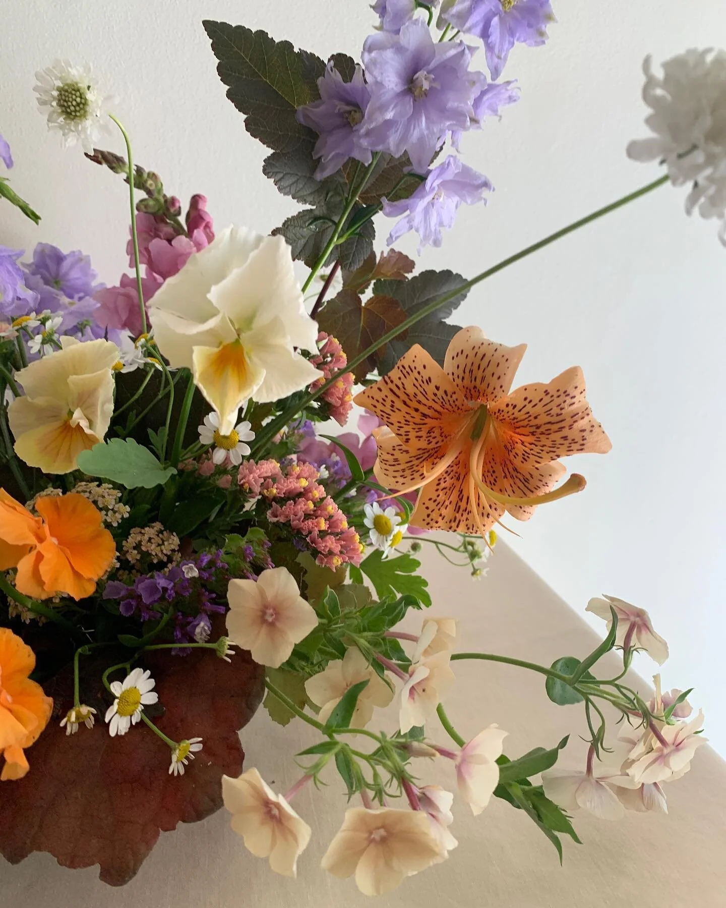 And the most darling pansies ✨ @lilystonegardens