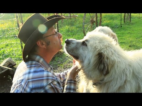 Barnyard Roundup Skit Video | Lesson 1 Open | Concordia's 2016 VBS