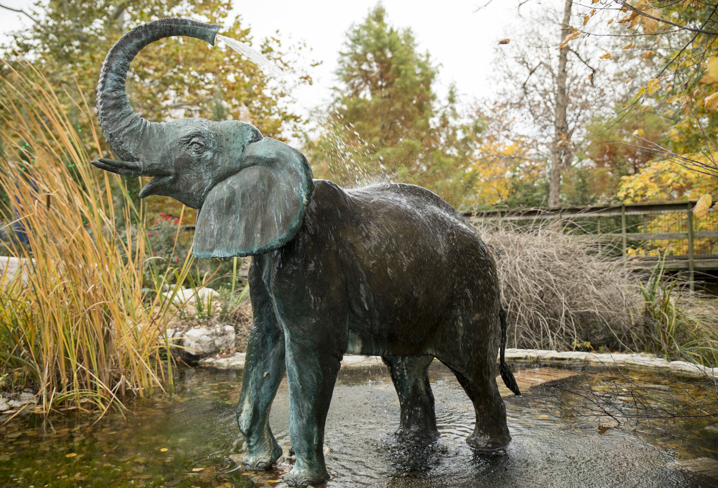Elephant_Sculpture_Saint_Louis_Zoo.jpg