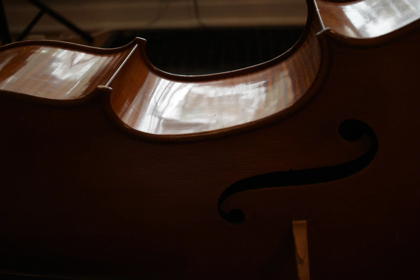 Moody Cello shot.JPG