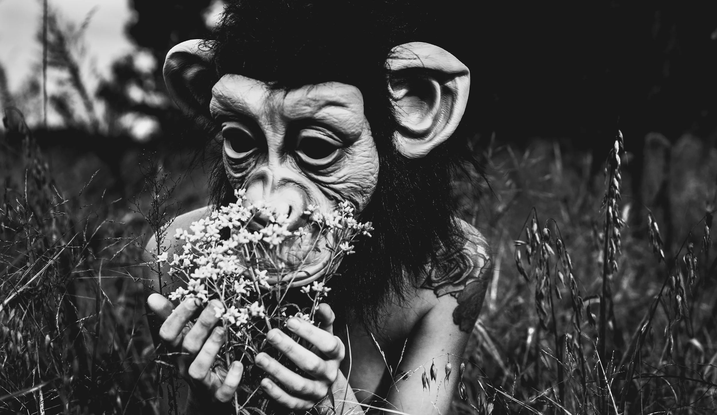 monkey one5-1.jpg