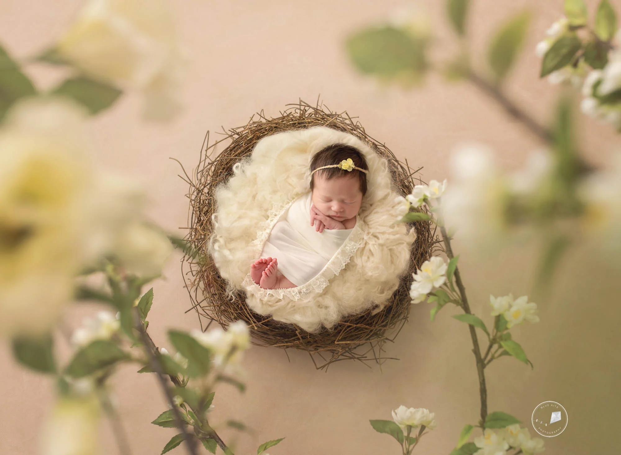 Boca Raton newborn photographer-.jpg