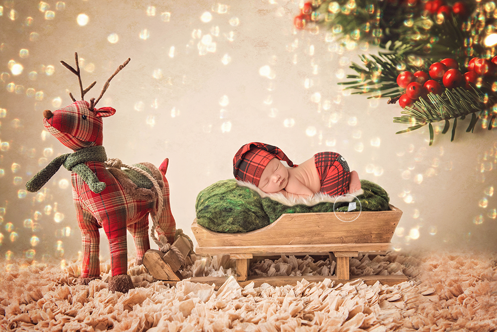 Boynton-Beach-newborn-christmas-session.png