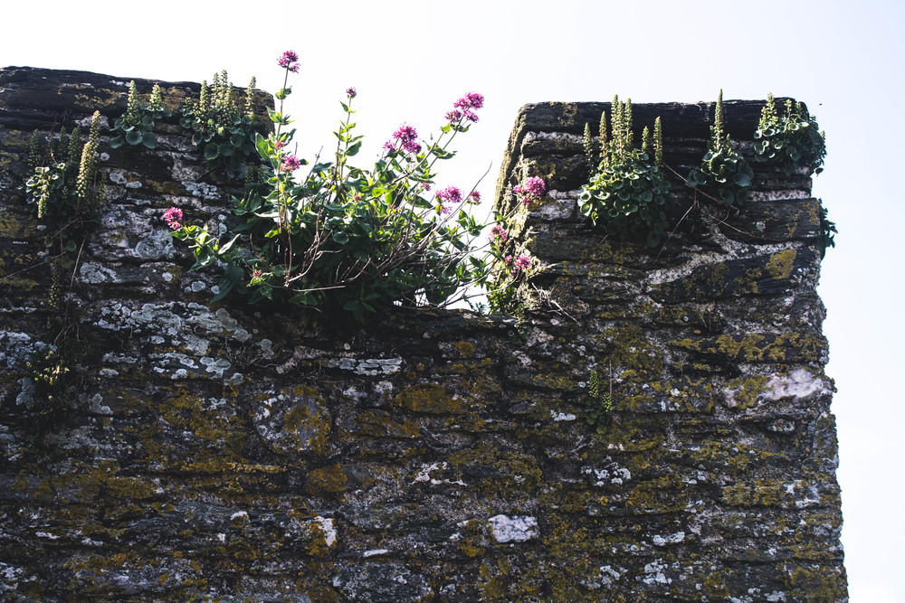 And here's what I imagine Cair Paravel to be.