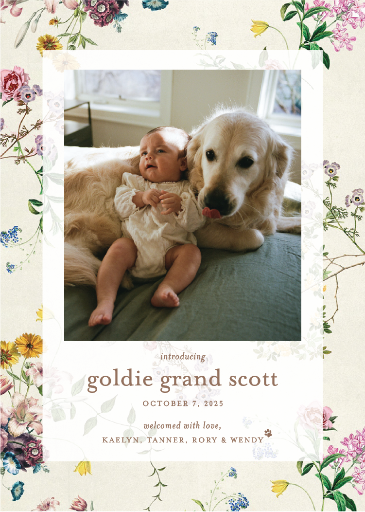 ScottBirthAnnouncement.webp