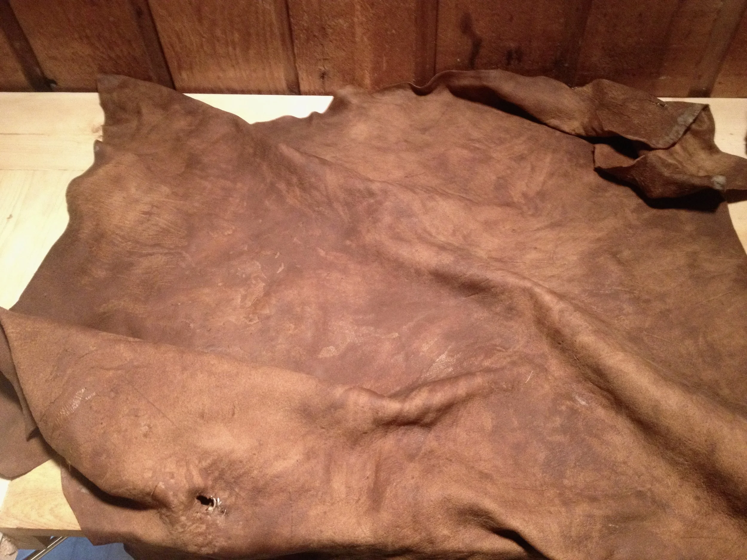 Buckskin, after Black Walnut Dye.