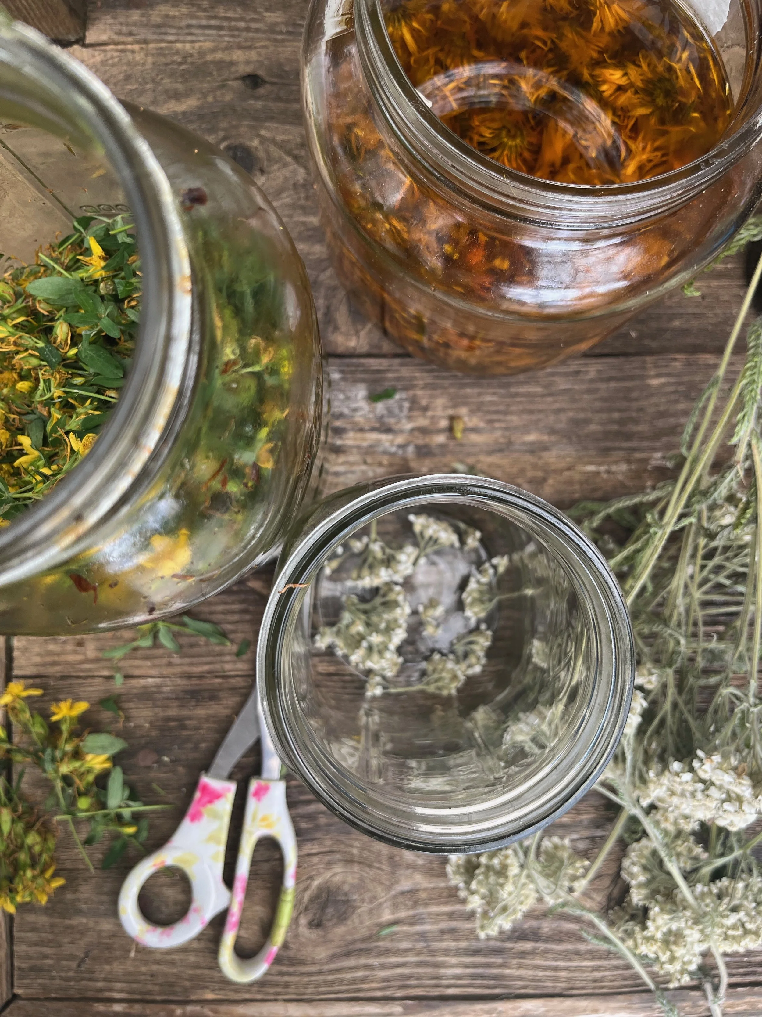 Herbal Infused Oils at Duvall Herb Farm 