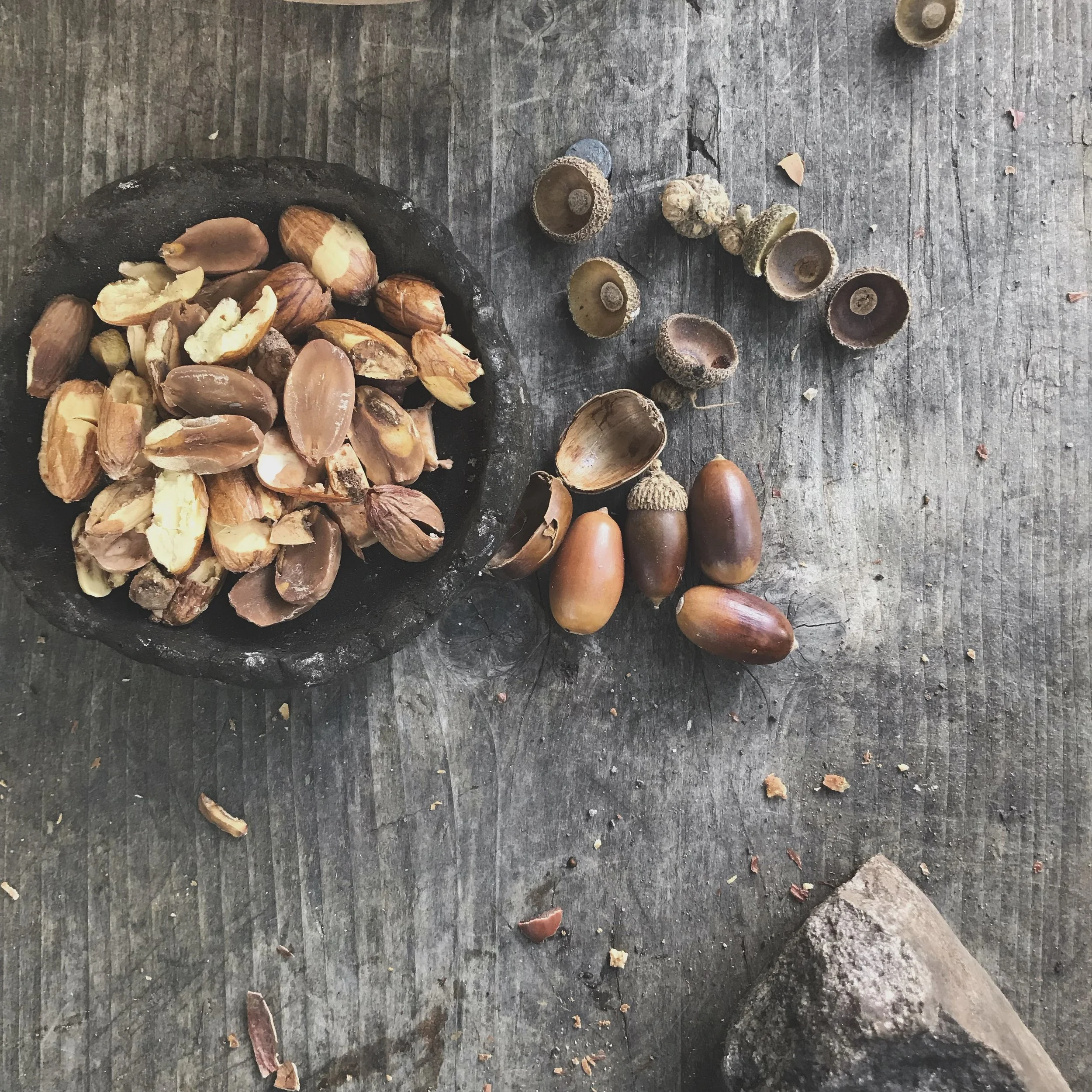 Wild Botanicals; Seed & Nut Nourishing Medicine