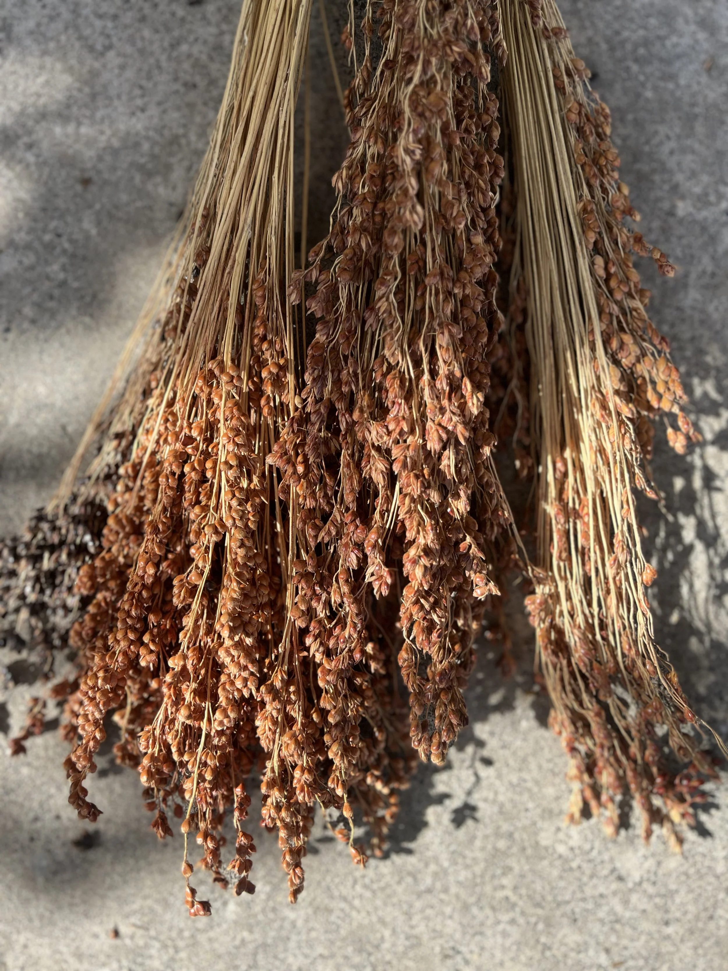 Intentional Crafting with Broom Corn at Rite of Passage Journeys