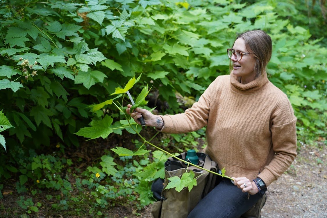 Wild Edible Plants with Wilderness Awareness School