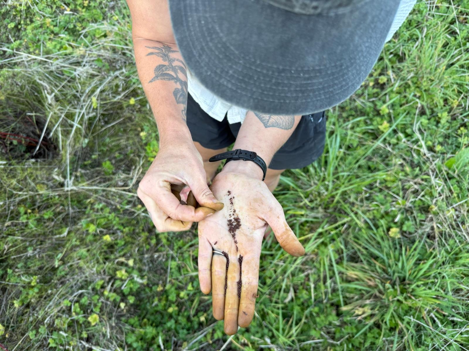 Autumn Wild Botanicals - 3 Class Series