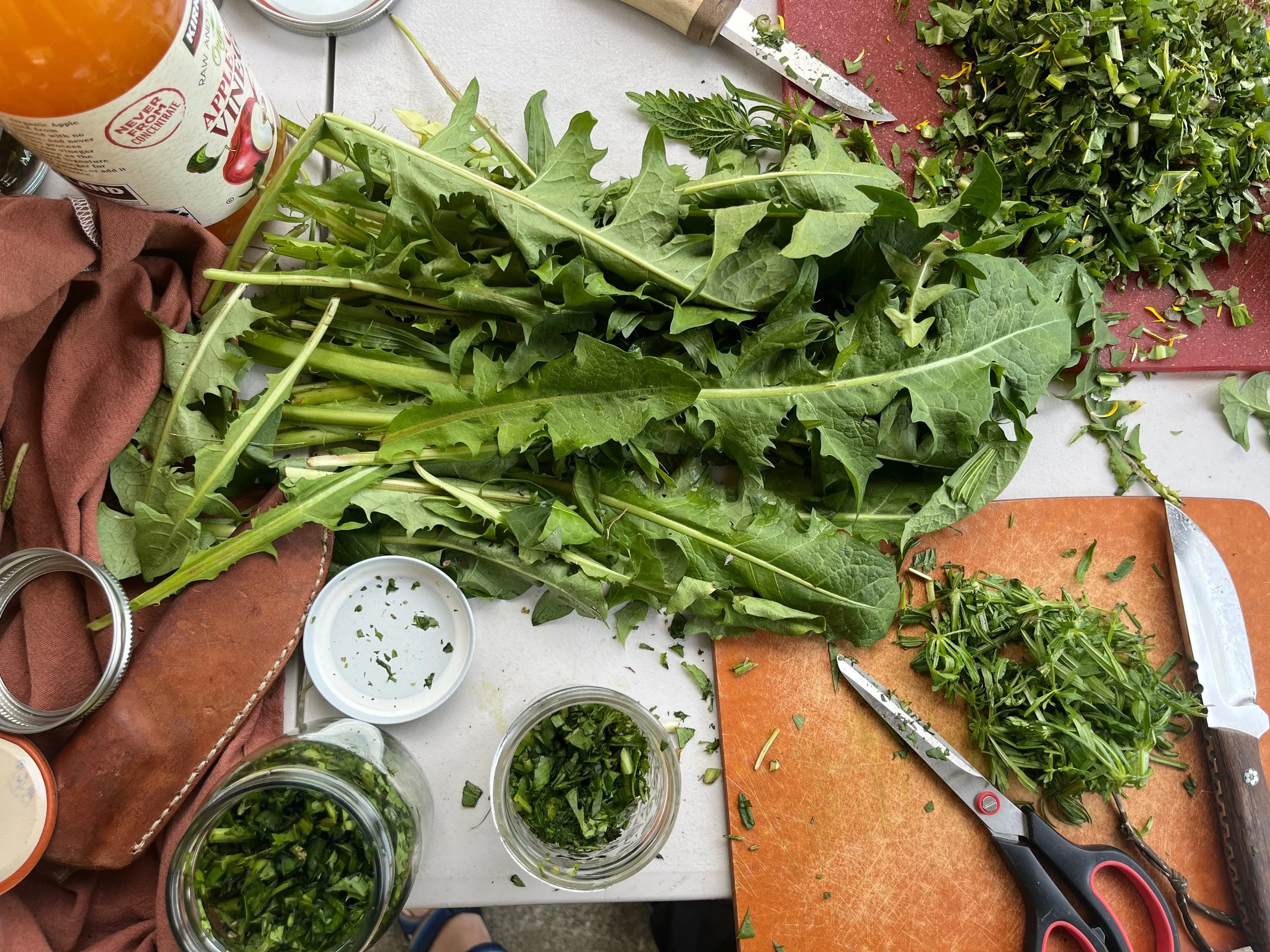 Wild Edibles; Spring Plant Foraging at Rite of Passage Journeys 