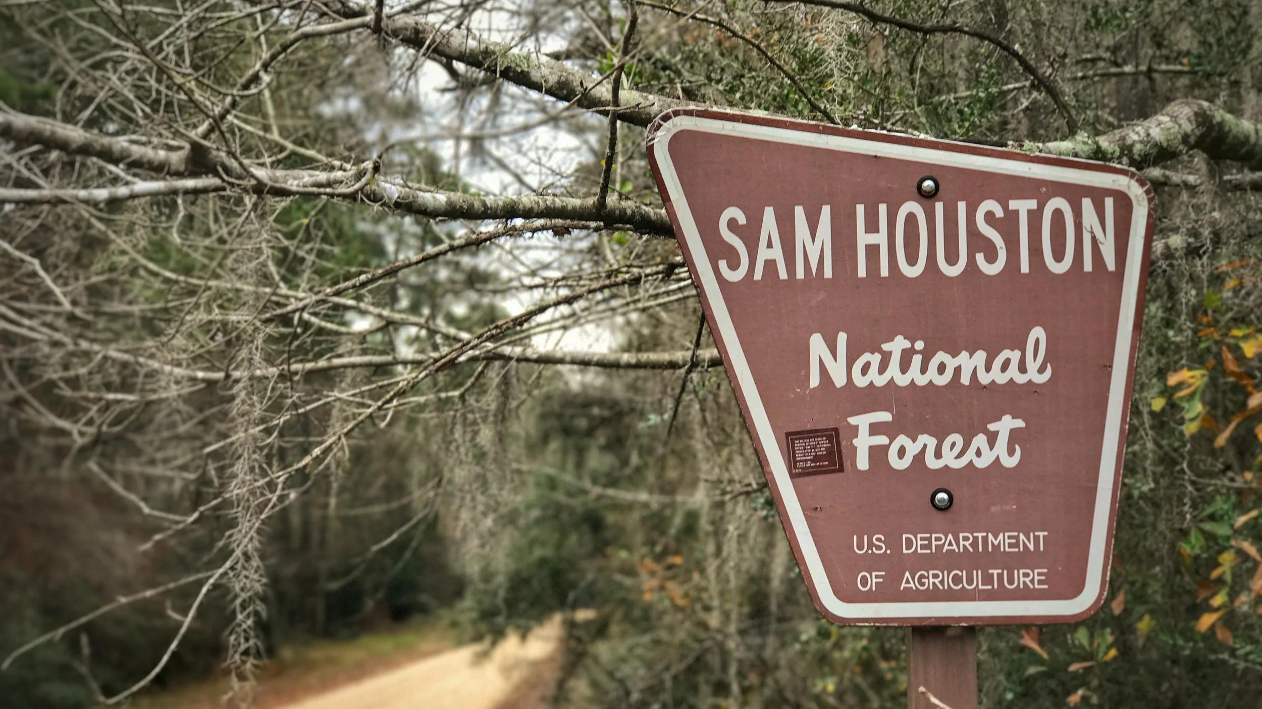 sam_houston_national_forest_sign.jpg