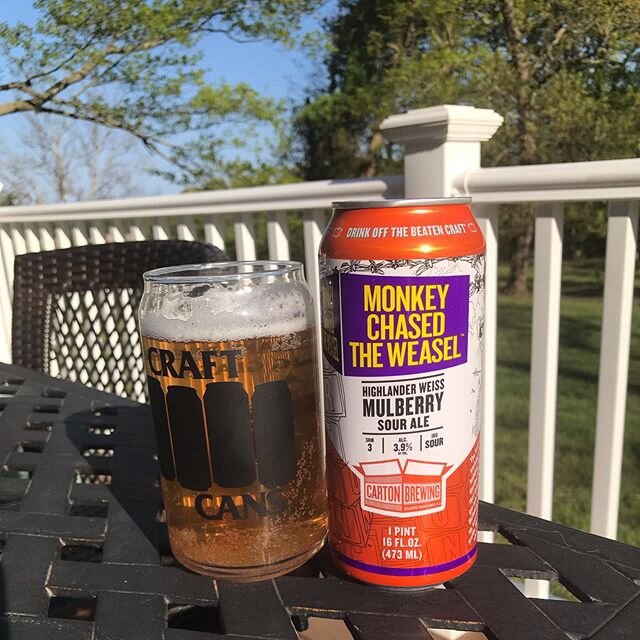 Monkey Chased the Weasel - Highlander Weiss Mulberry Sour Ale #cartonbrewing #drinkoffthebeatencraft #njcraftbeer #njbeer #atlantichighlandsnj #craftcans