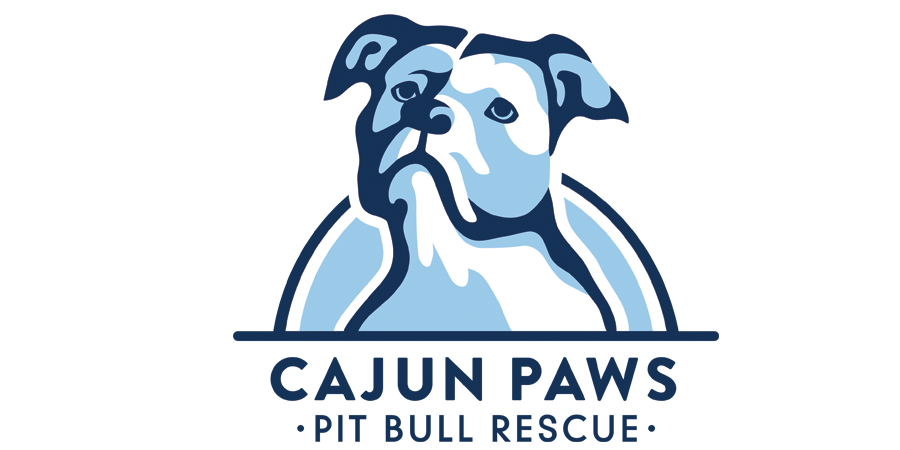 apollo_poster mockup.png