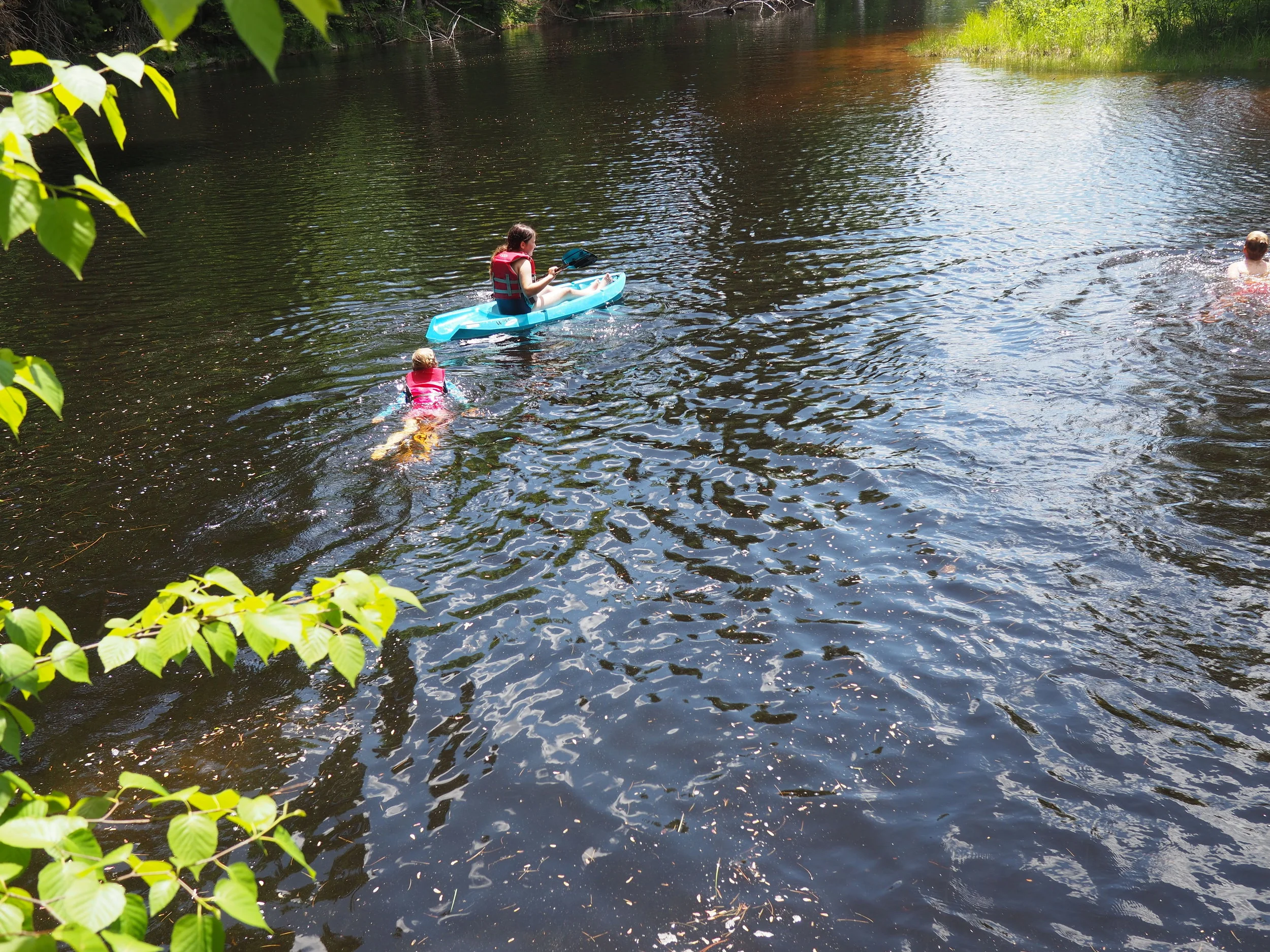 P6268650.jpg