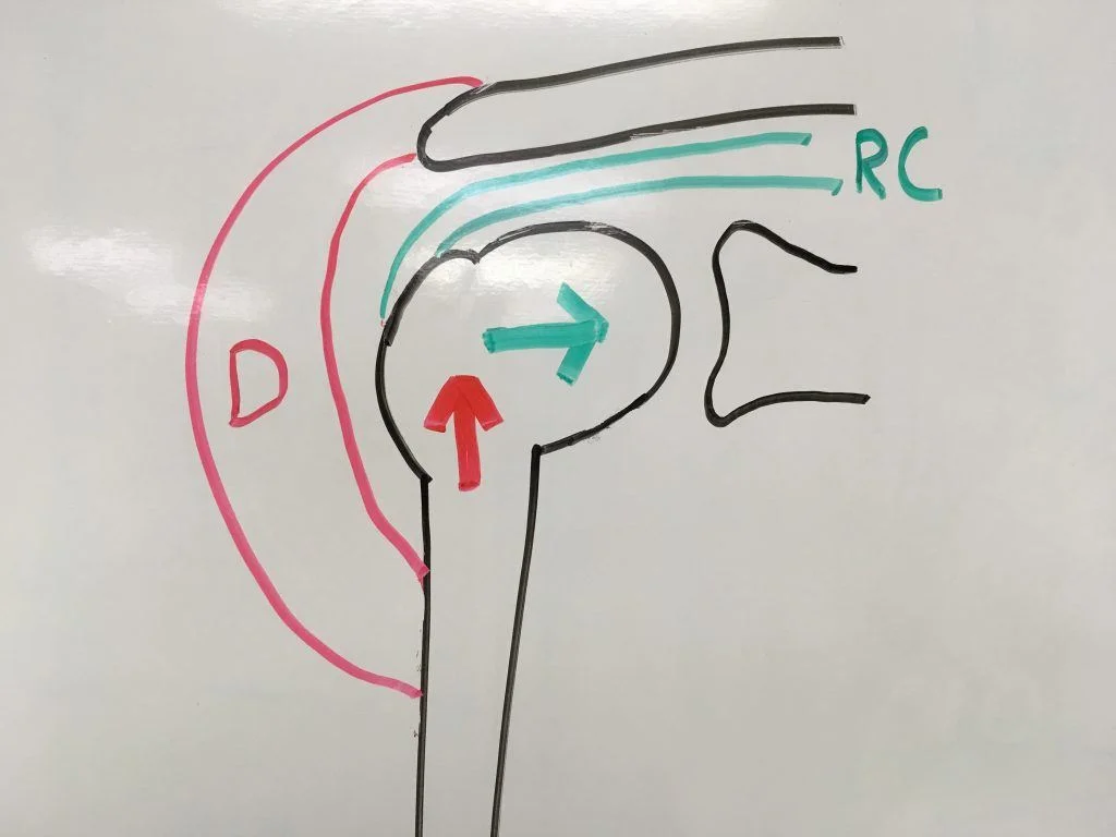 This image is from a great blog written by Dr. Dan Pope and is used here in this piece because of its beautiful simplicity.