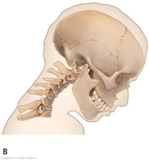 Cervical Flexion