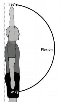 Then try standing