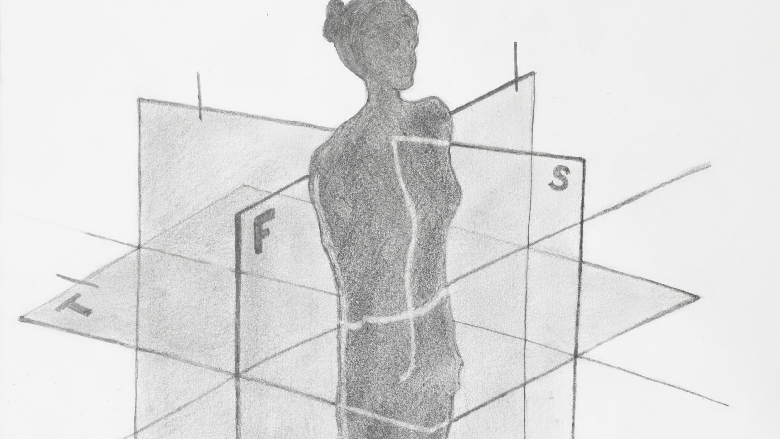 Planes of Motion — Arrow Physical Therapy Seattle