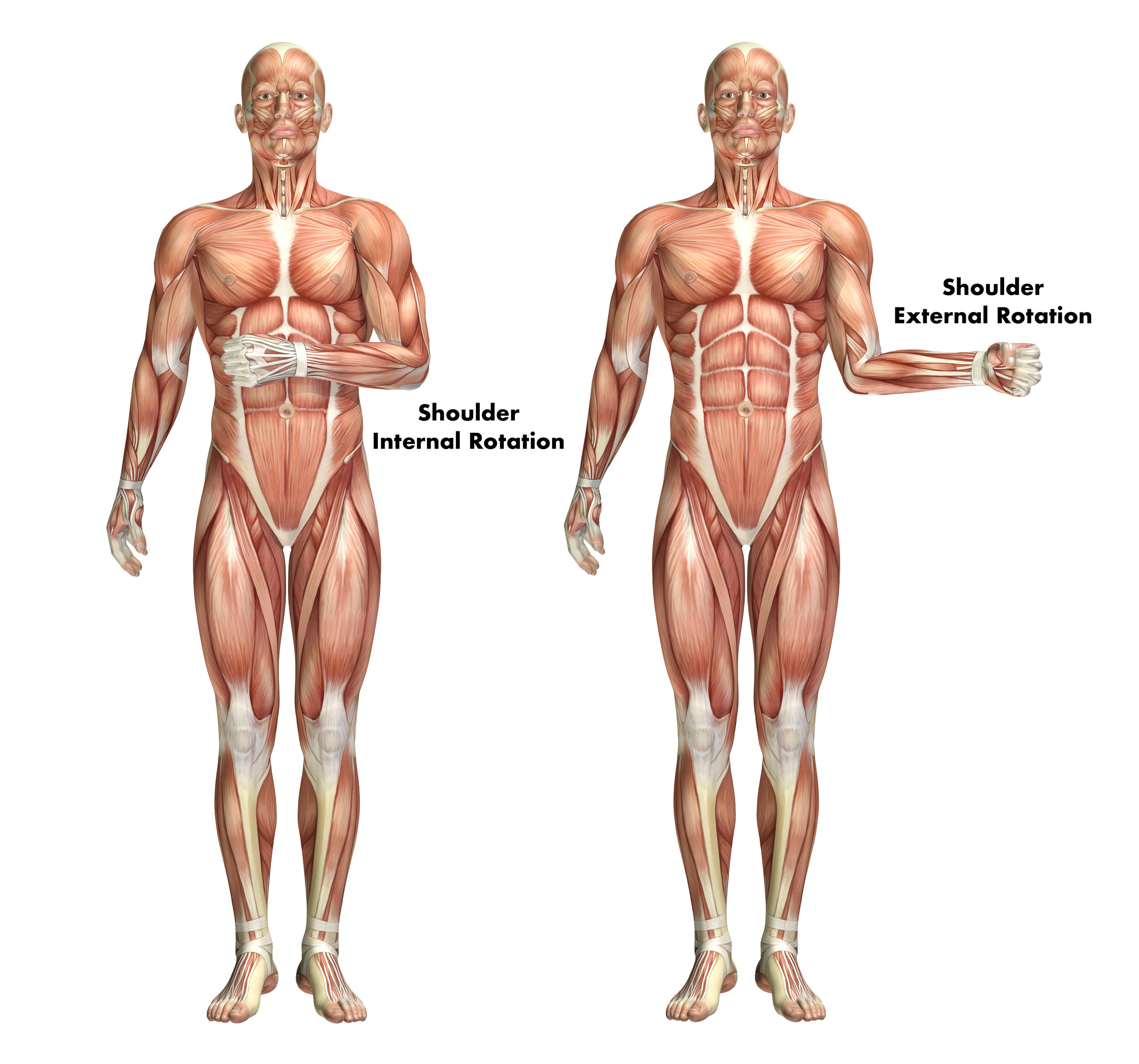 Wrist Pain in the Front Rack — Arrow Physical Therapy Seattle