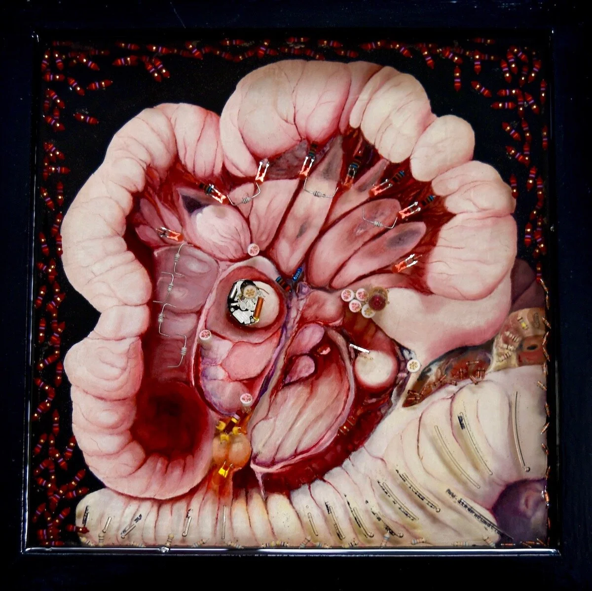 Mystical Intestine of St. Catherine