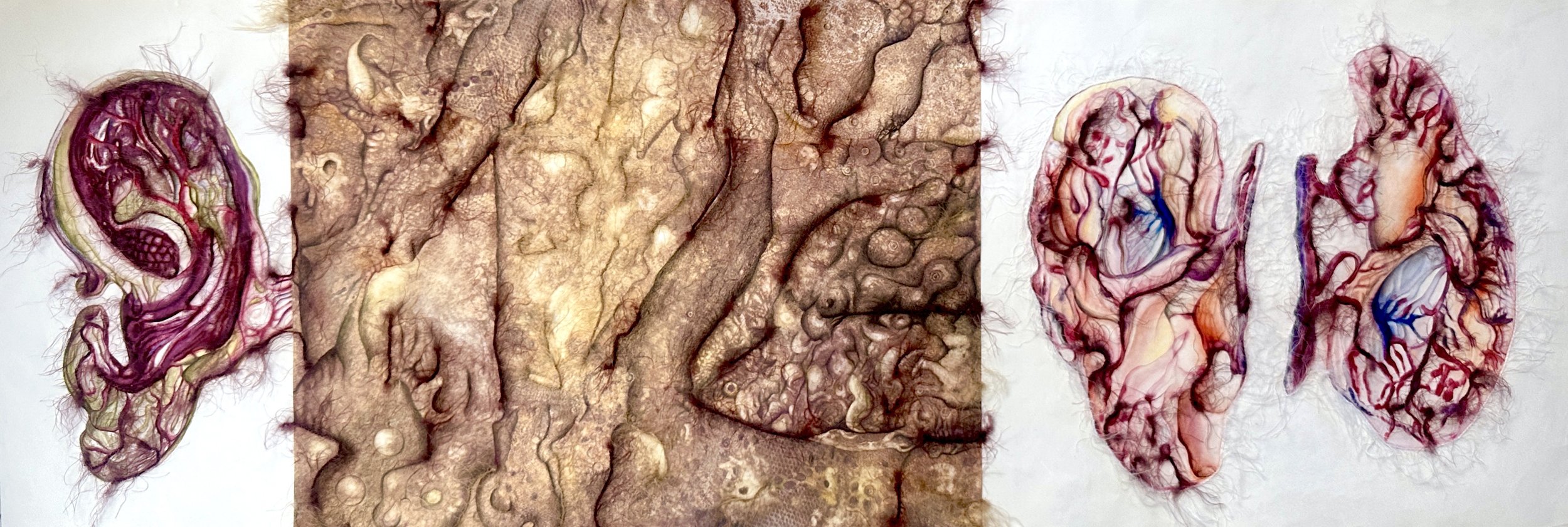 Endolithic Auris Numenology (CAT. NO. 8261-B)