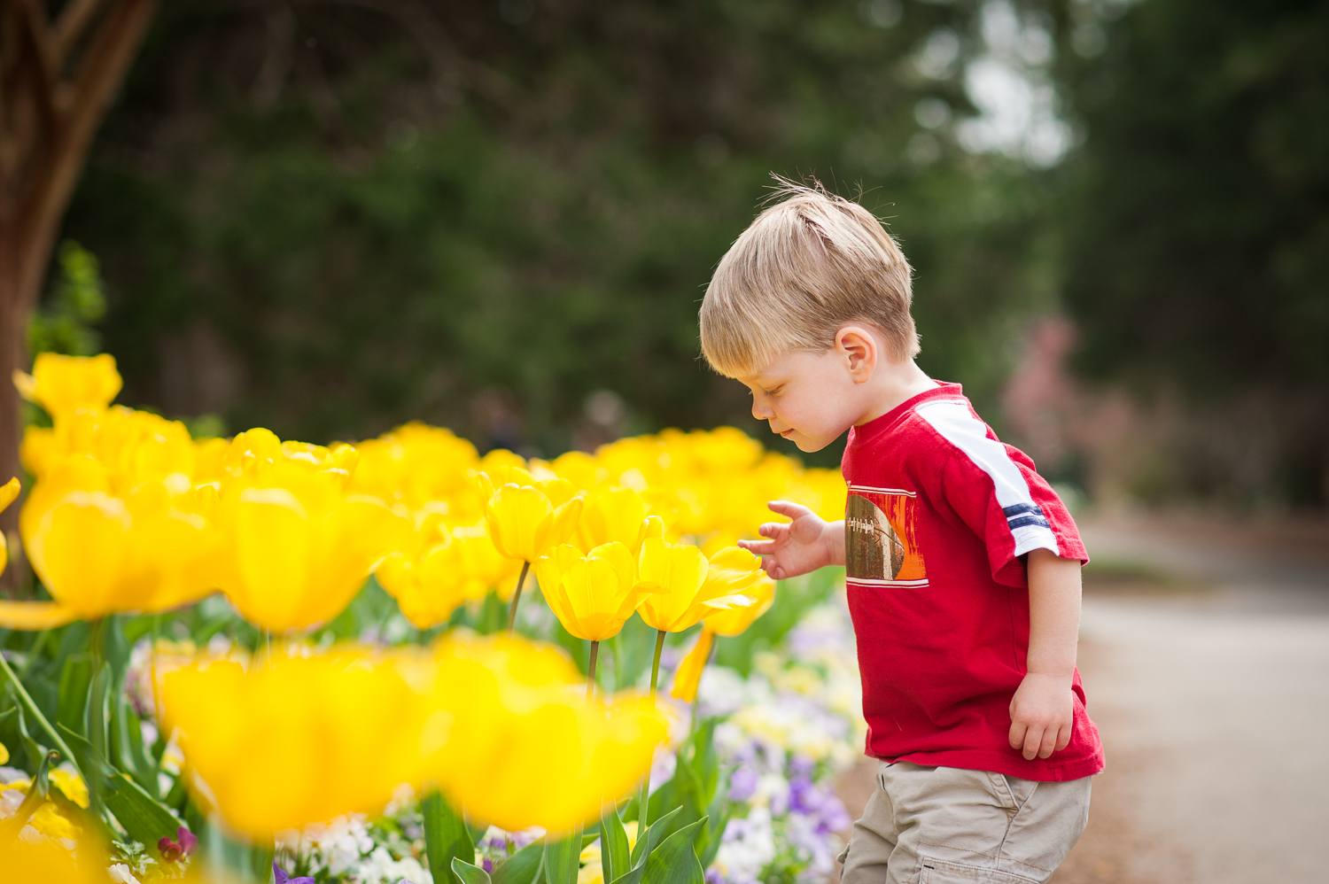 little boy smelling yellow tulips | Huntsville photographer