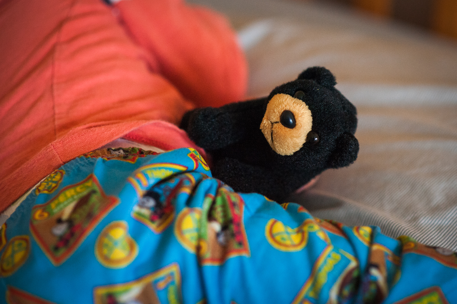 little boy holding small stuffed black bear | Huntsville photographer