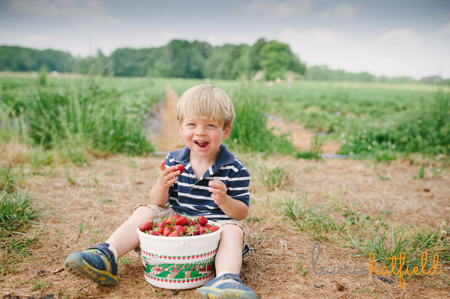 little boy in strawberry field eating berries | Huntsville photographer