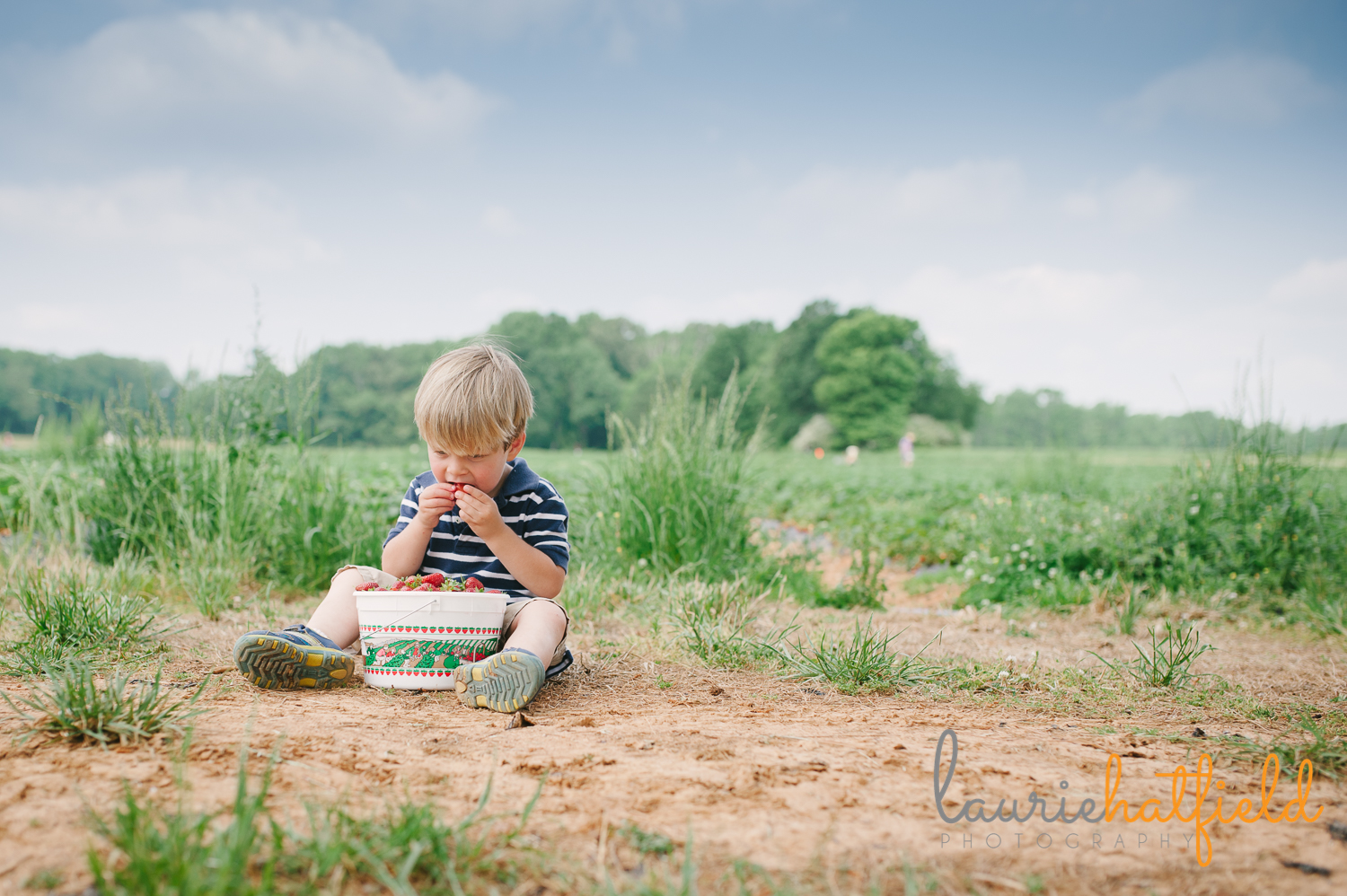 2-year-old in strawberry field | Huntsville photographer