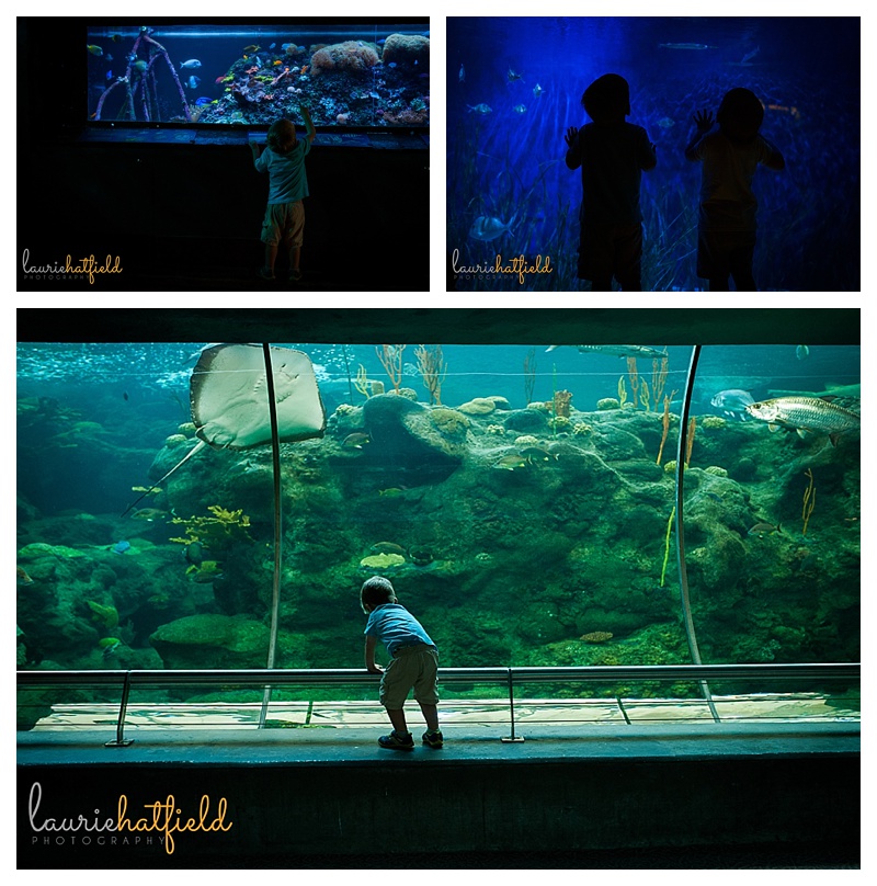 kids at the aquarium | Huntsville photographer