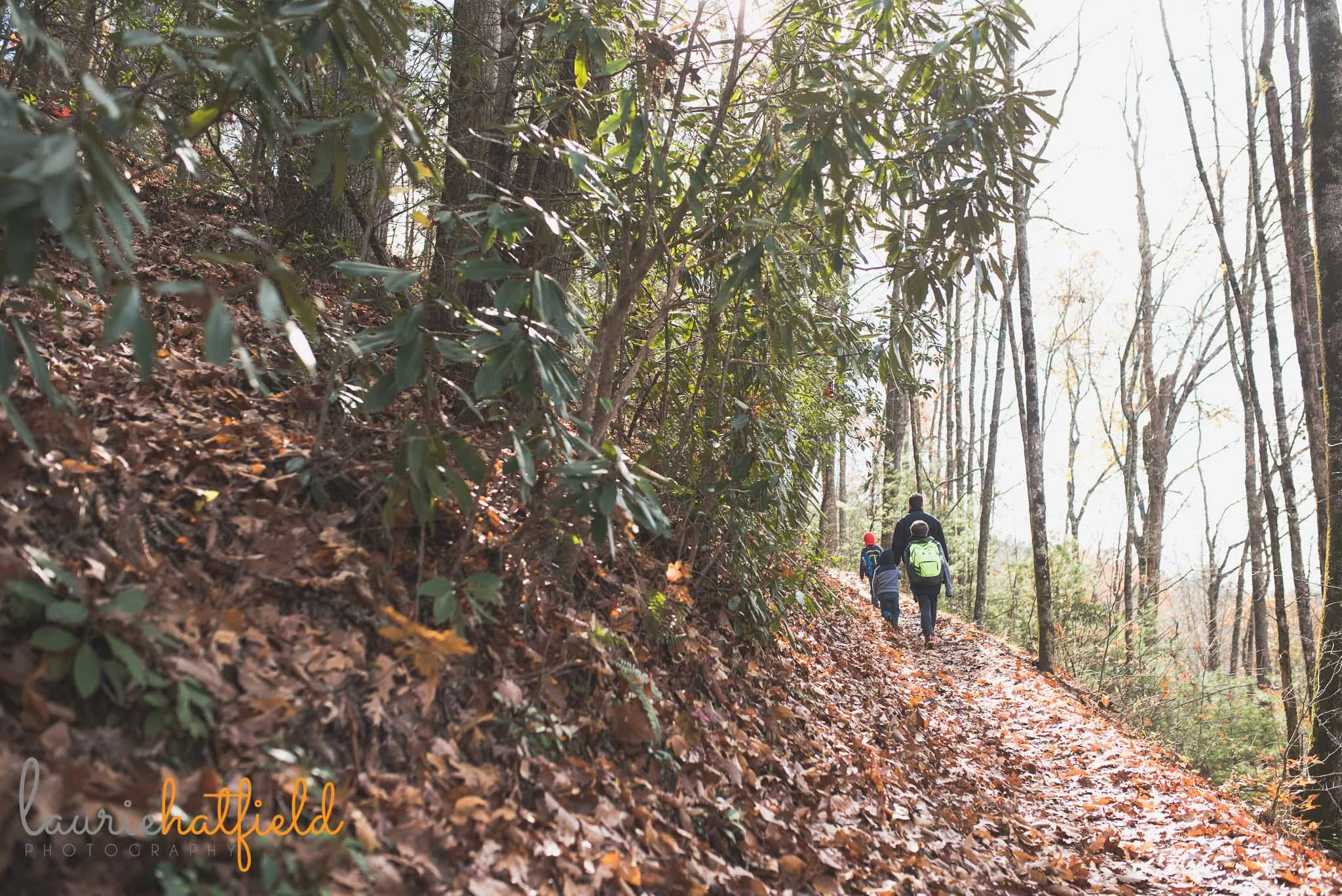 hiking in the mountains | Mobile AL family photographer
