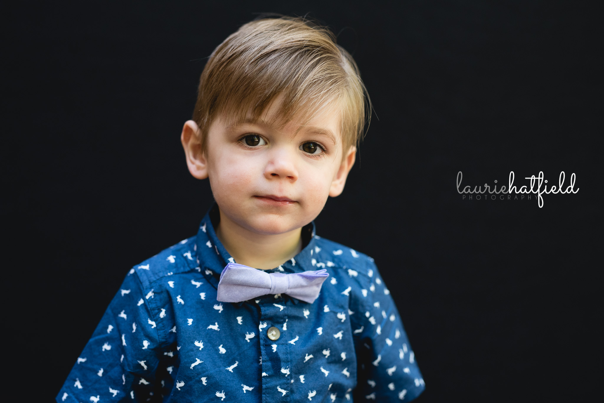 little boy with purple bow tie | Mobile AL school photographer