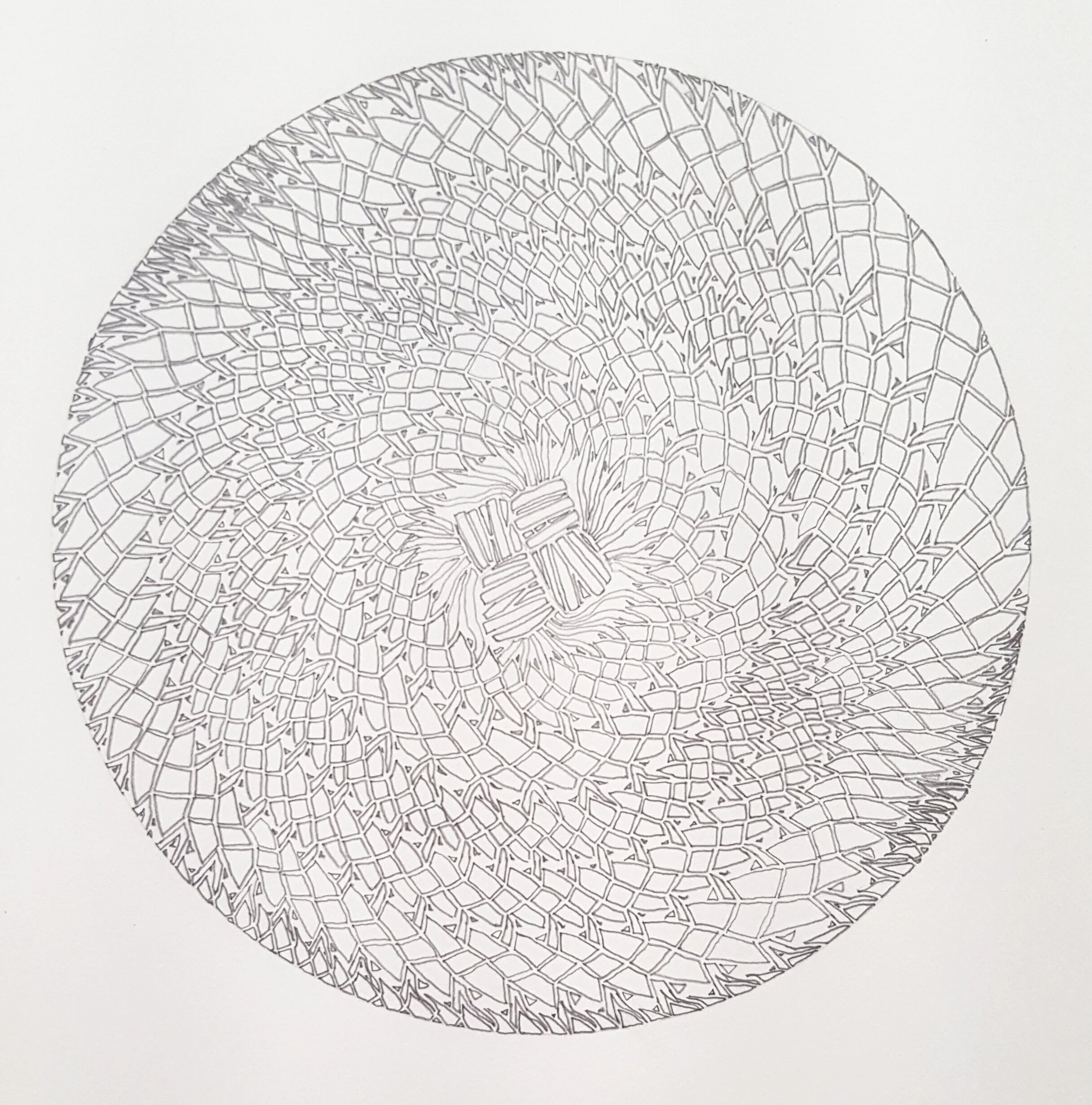 gat weave study: top knot no.4