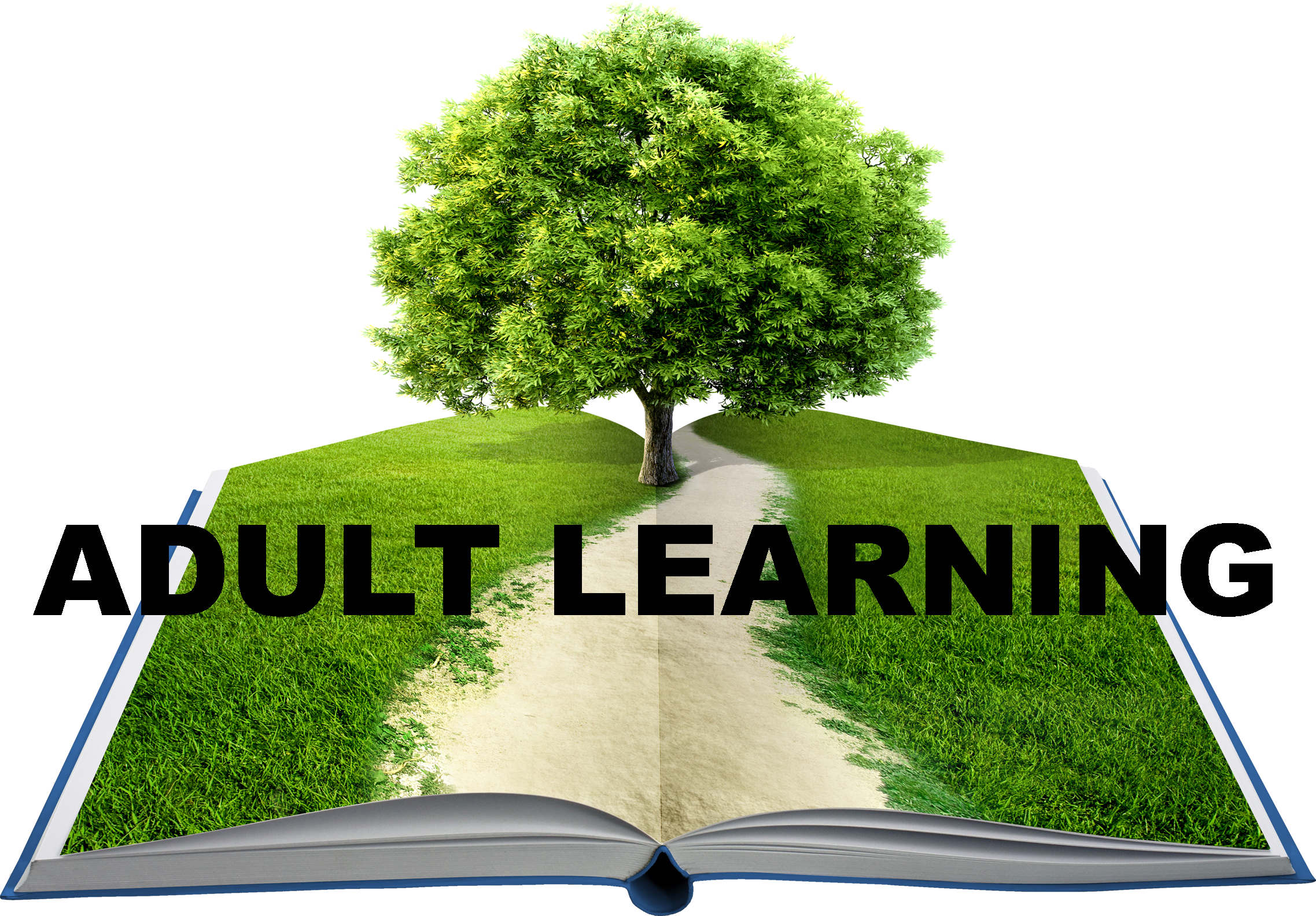 AdultLearning_OnlineImage_Transparent_Reduced.png