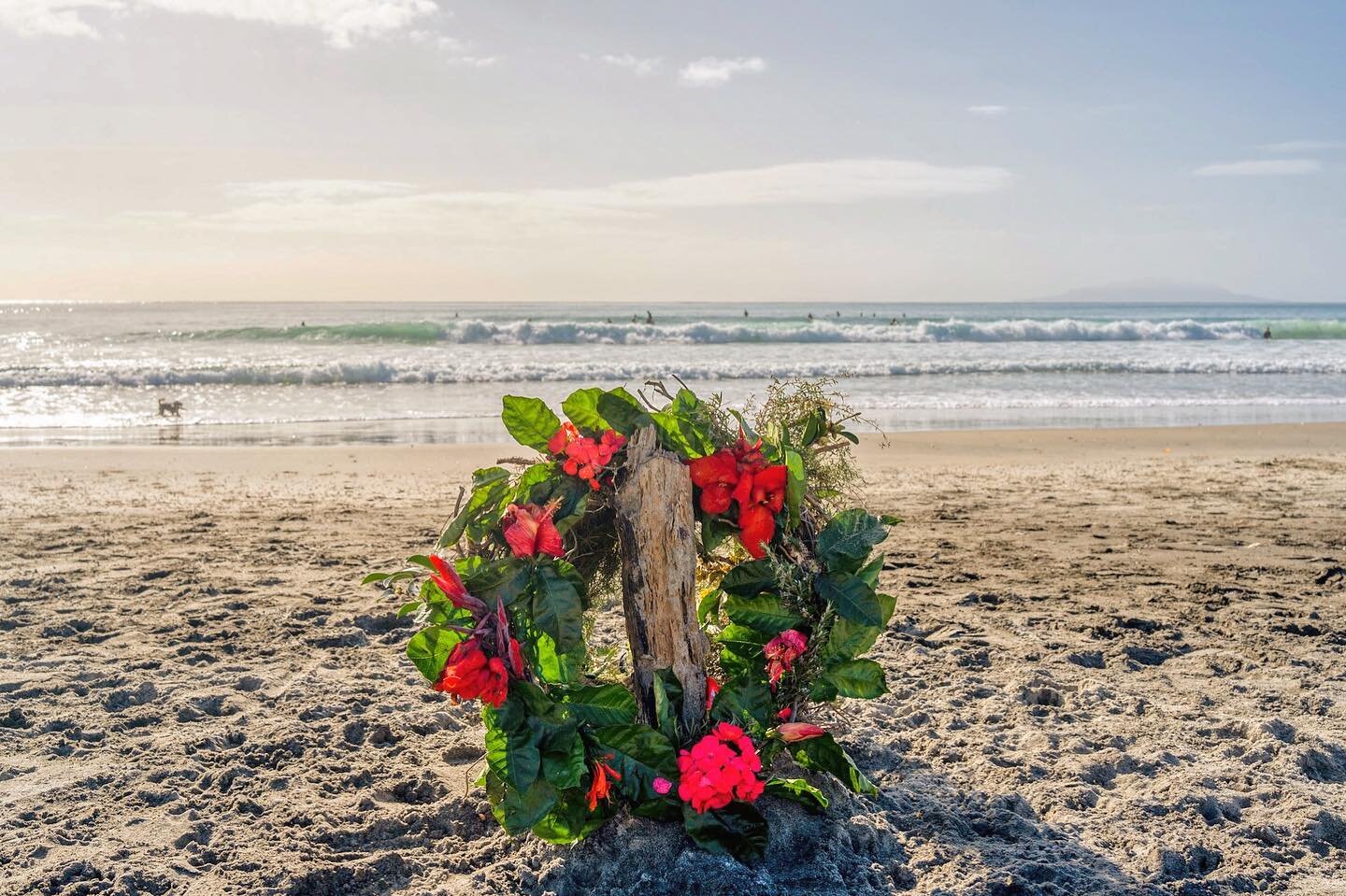 Least we forget 🌺

Today is Anzac Day in New Zealand, a day when the country stops to reflect &amp; remember all those who have passed &amp; returned from the landing at Gallipoli in 1915. 

Thousands of people will attend Anzac Day commemorations a