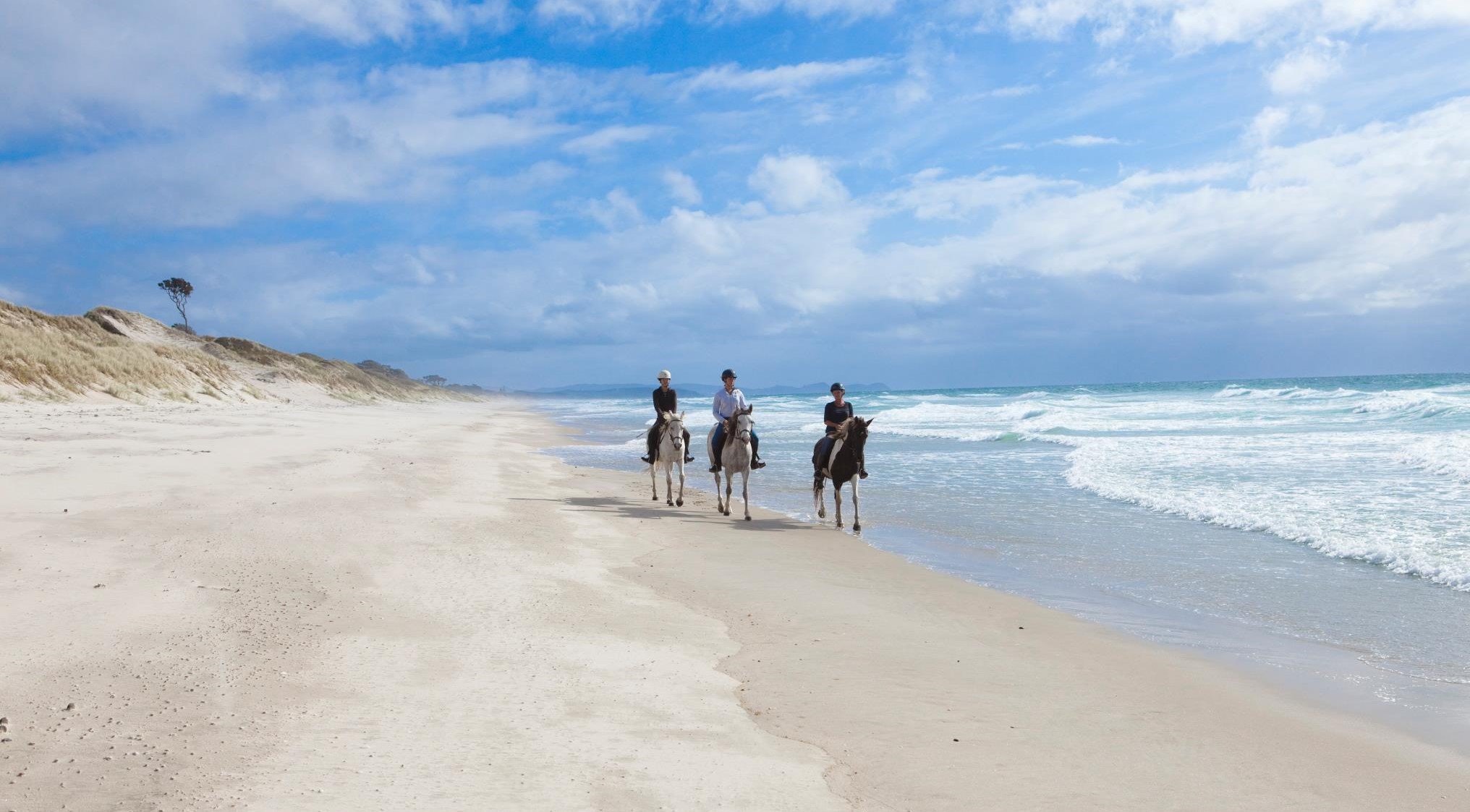 Pakiri-Beach-horse-rides.jpg