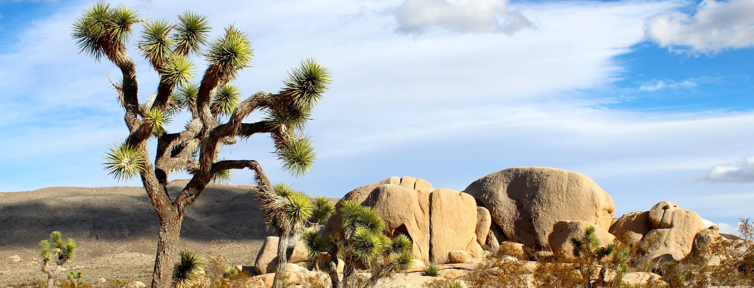 joshua-tree-national-park-mojave-desert-rocks-landscape-73820.jpeg