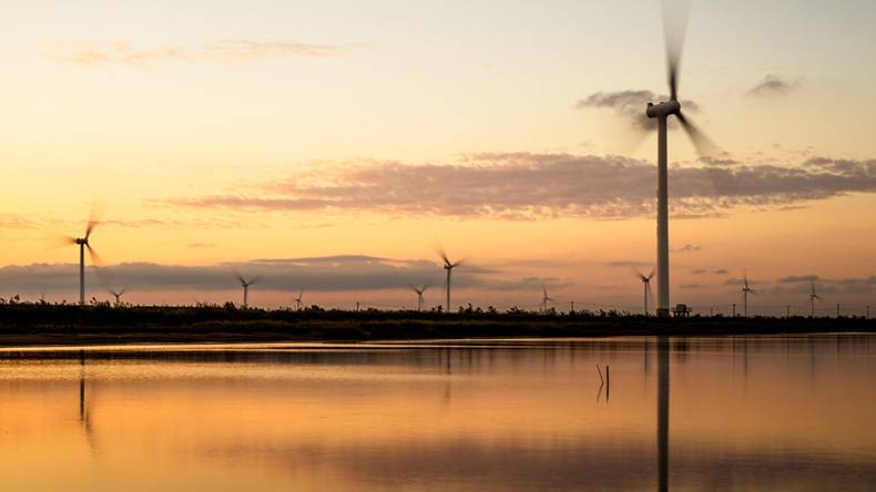 How Google and Other Giant Corporations Are Going 100% Renewable