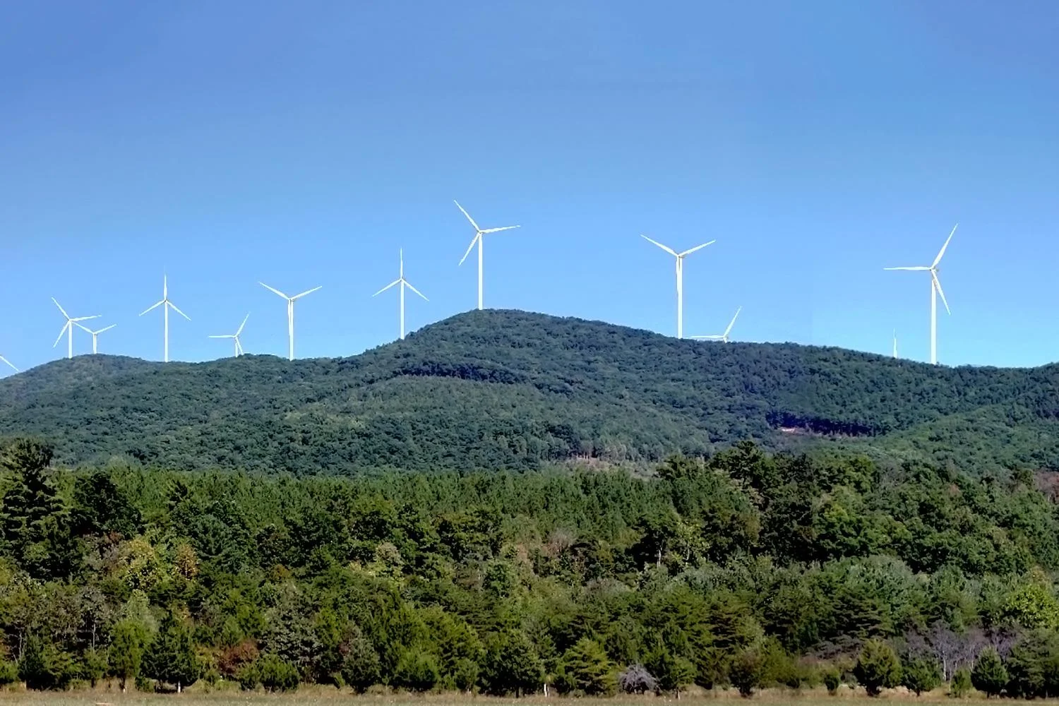 Two Mid-Atlantic States See Close to Half-a-Million in Revenue from Onshore Wind Farms