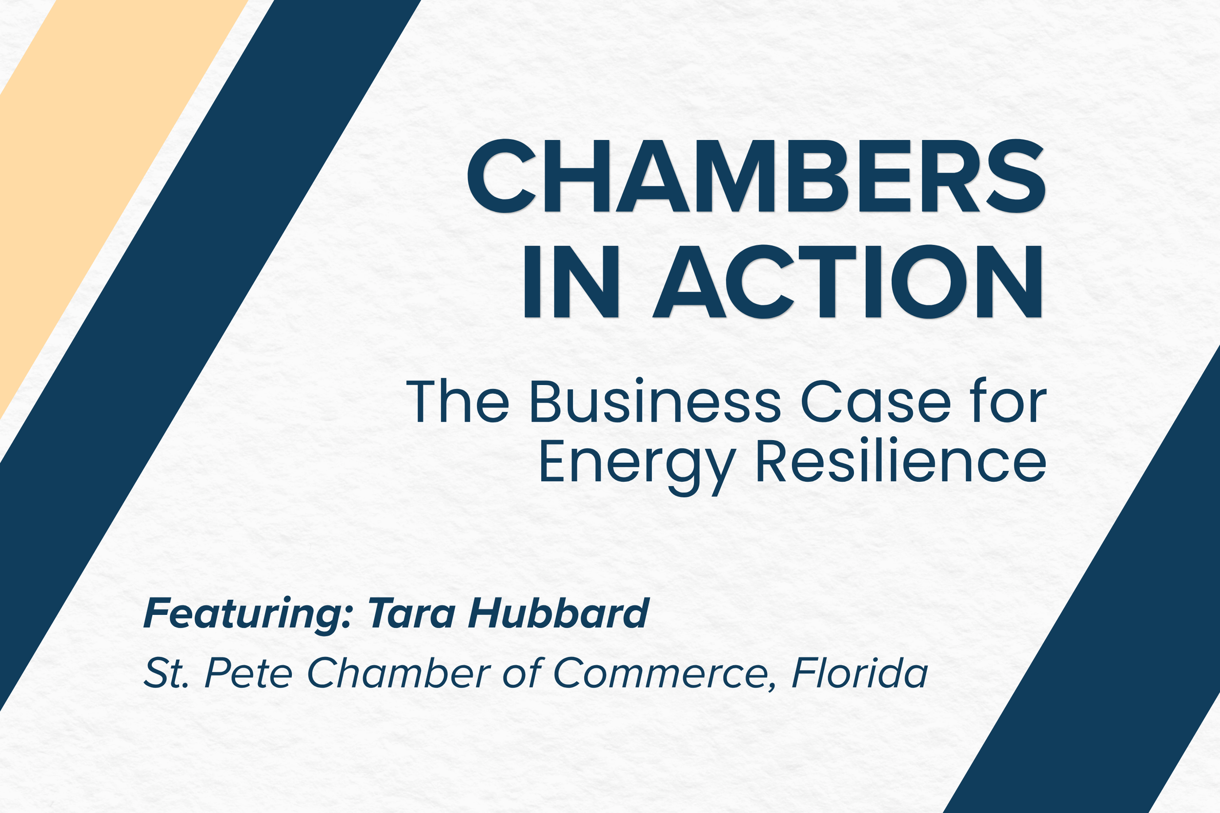 St. Petersburg Chamber Leader Makes the Business Case for Clean Energy in Florida